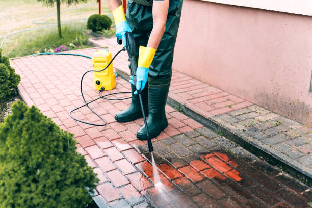 Best Fence Cleaning and Maintenance in Athens, TX